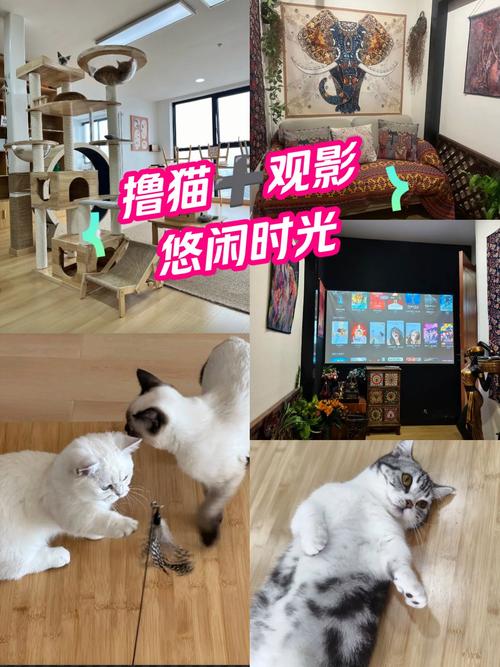 18岁以下禁止观看在线观看的相关介绍