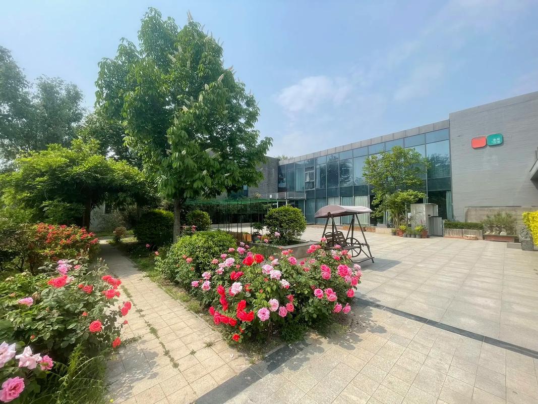 枫花园汽车影院攻略:北京户外观影新体验,情侣约会与亲子活动首选