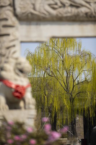 电影院英语怎么说？3个实用长尾关键词帮你快速掌握（cinema / movie theater / film house）
