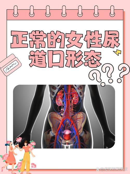 专属18岁以下青少年的纯净社交圈｜青少年交友app｜未成年交友平台